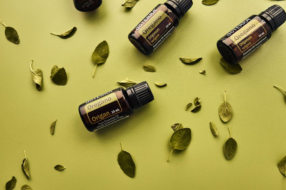 Vue de dessus des flacons d'huile essentielle d'origan avec des feuilles éparpillées sur un fond vert.