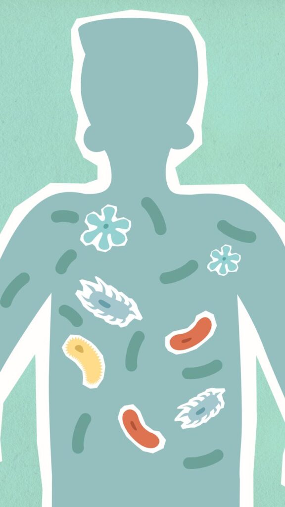 Comment Bien Choisir ses Probiotiques : Guide des Souches